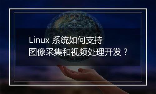 Linux 系统如何支持图像采集和视频处理开发?