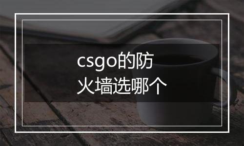 csgo的防火墙选哪个