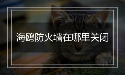 海鸥防火墙在哪里关闭