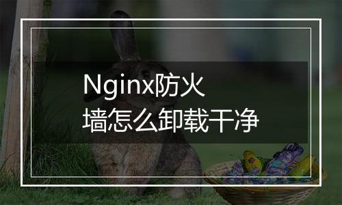 Nginx防火墙怎么卸载干净