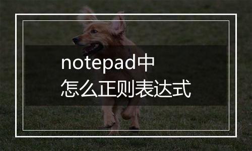 notepad中怎么正则表达式