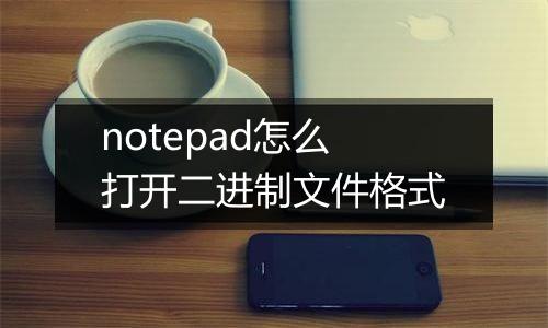 notepad怎么打开二进制文件格式