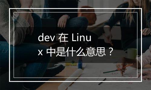 dev 在 Linux 中是什么意思?