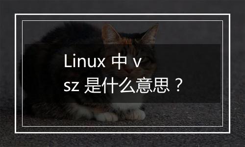 Linux 中 vsz 是什么意思?