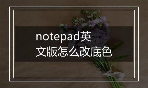 notepad英文版怎么改底色