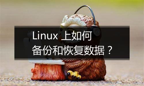 Linux 上如何备份和恢复数据？