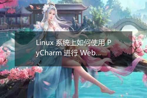 Linux 系统上如何使用 PyCharm 进行 Web 开发?