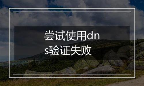尝试使用dns验证失败