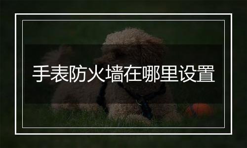 手表防火墙在哪里设置