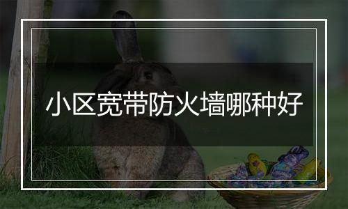 小区宽带防火墙哪种好