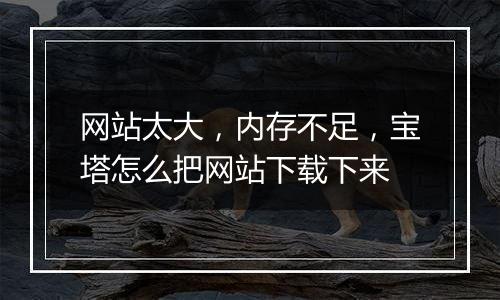 网站太大，内存不足，宝塔怎么把网站下载下来