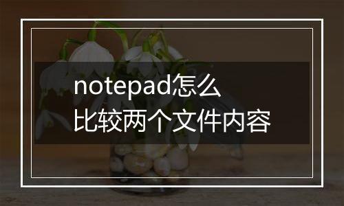 notepad怎么比较两个文件内容