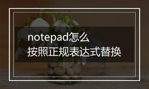 notepad怎么按照正规表达式替换