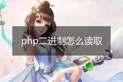 php二进制怎么读取