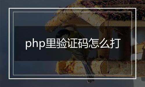 php里验证码怎么打