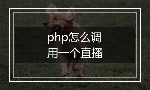 php怎么调用一个直播