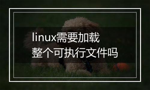 linux需要加载整个可执行文件吗