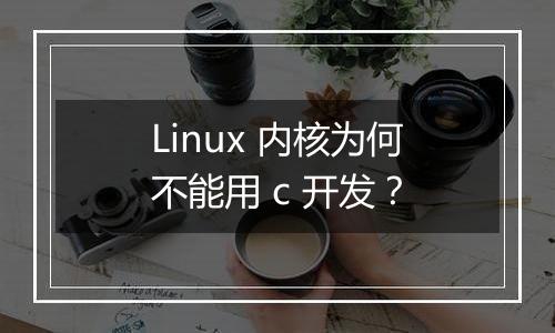 Linux 内核为何不能用 c 开发?