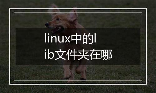 linux中的lib文件夹在哪