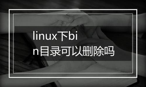 linux下bin目录可以删除吗