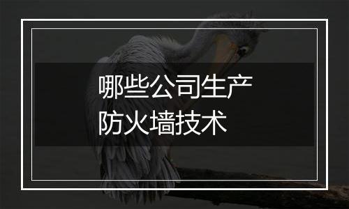 哪些公司生产防火墙技术