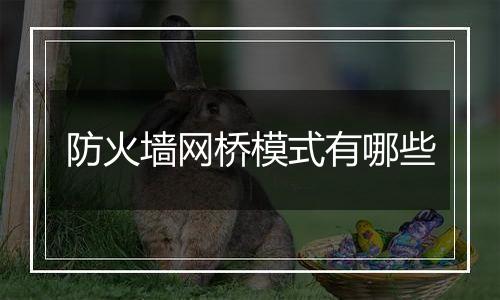 防火墙网桥模式有哪些