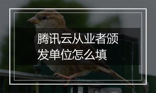 腾讯云从业者颁发单位怎么填