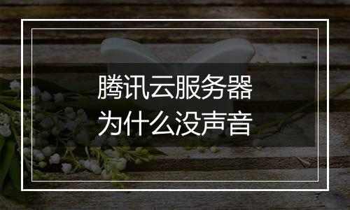 腾讯云服务器为什么没声音