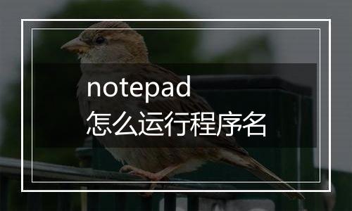 notepad怎么运行程序名