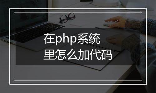 在php系统里怎么加代码