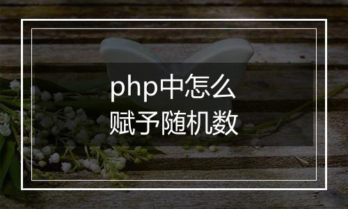 php中怎么赋予随机数