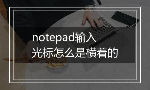notepad输入光标怎么是横着的