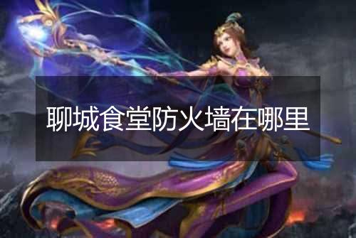 聊城食堂防火墙在哪里