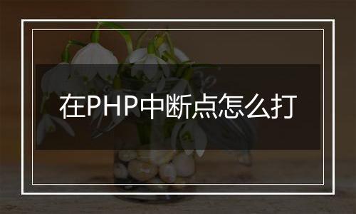 在PHP中断点怎么打