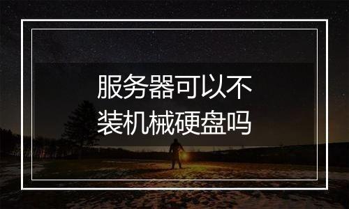 服务器可以不装机械硬盘吗