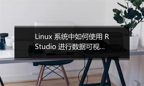 Linux 系统中如何使用 RStudio 进行数据可视化的配置？