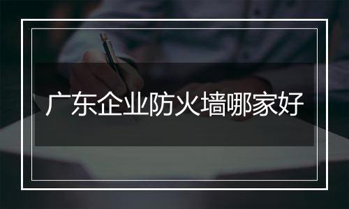 广东企业防火墙哪家好
