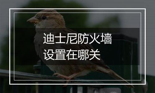 迪士尼防火墙设置在哪关