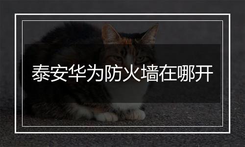 泰安华为防火墙在哪开