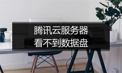 腾讯云服务器看不到数据盘