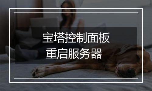 宝塔控制面板 重启服务器