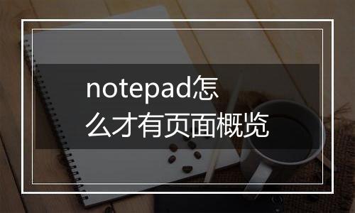 notepad怎么才有页面概览