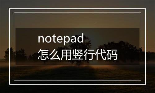 notepad怎么用竖行代码