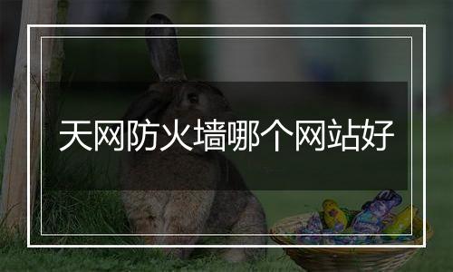 天网防火墙哪个网站好