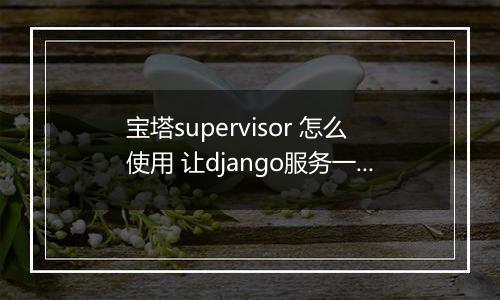 宝塔supervisor 怎么使用 让django服务一直启动
