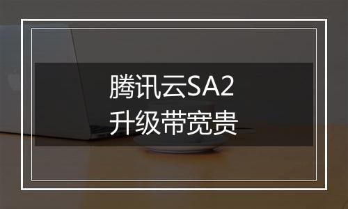 腾讯云SA2升级带宽贵