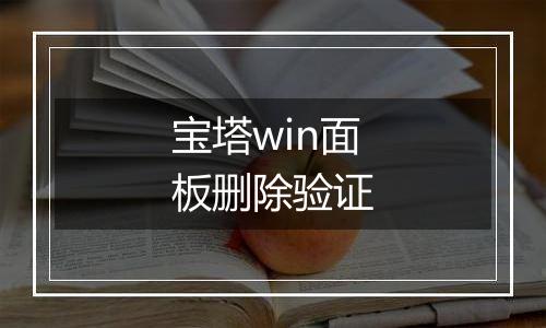 宝塔win面板删除验证
