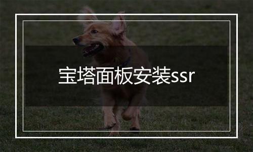 宝塔面板安装ssr