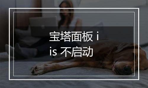 宝塔面板 iis 不启动