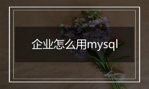 企业怎么用mysql